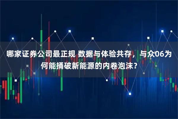 哪家证券公司最正规 数据与体验共存，与众06为何能捅破新能源的内卷泡沫？