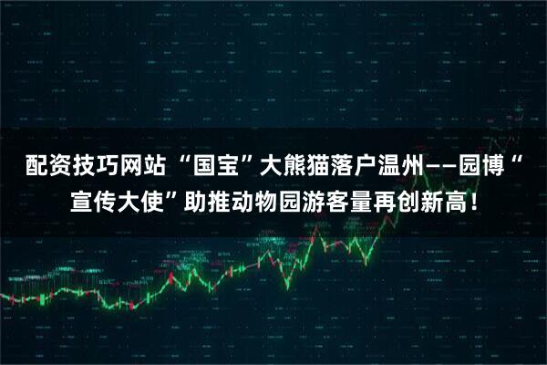 配资技巧网站 “国宝”大熊猫落户温州——园博“宣传大使”助推动物园游客量再创新高！