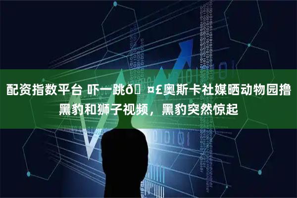 配资指数平台 吓一跳🤣奥斯卡社媒晒动物园撸黑豹和狮子视频，黑豹突然惊起